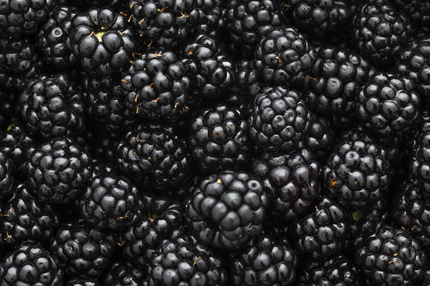 expanded photography Palais de Tokyo